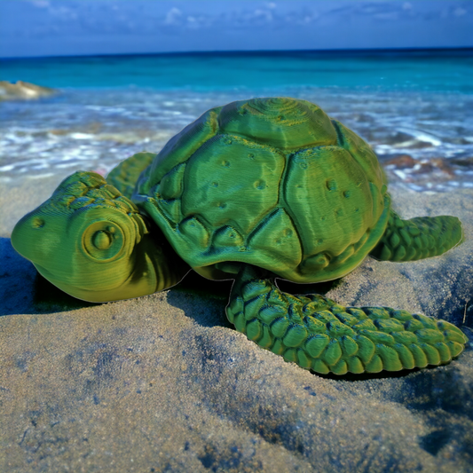 Sea Turtle