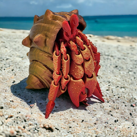 Hermit Crab