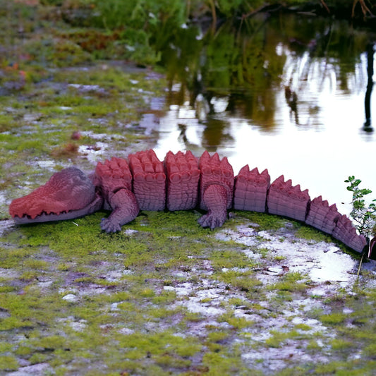 Alligator