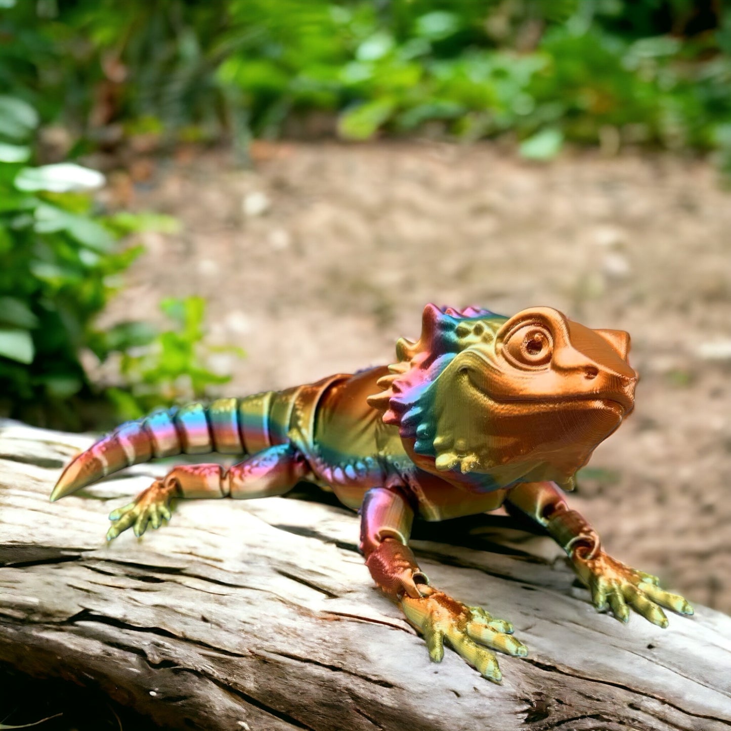 Bearded Dragon