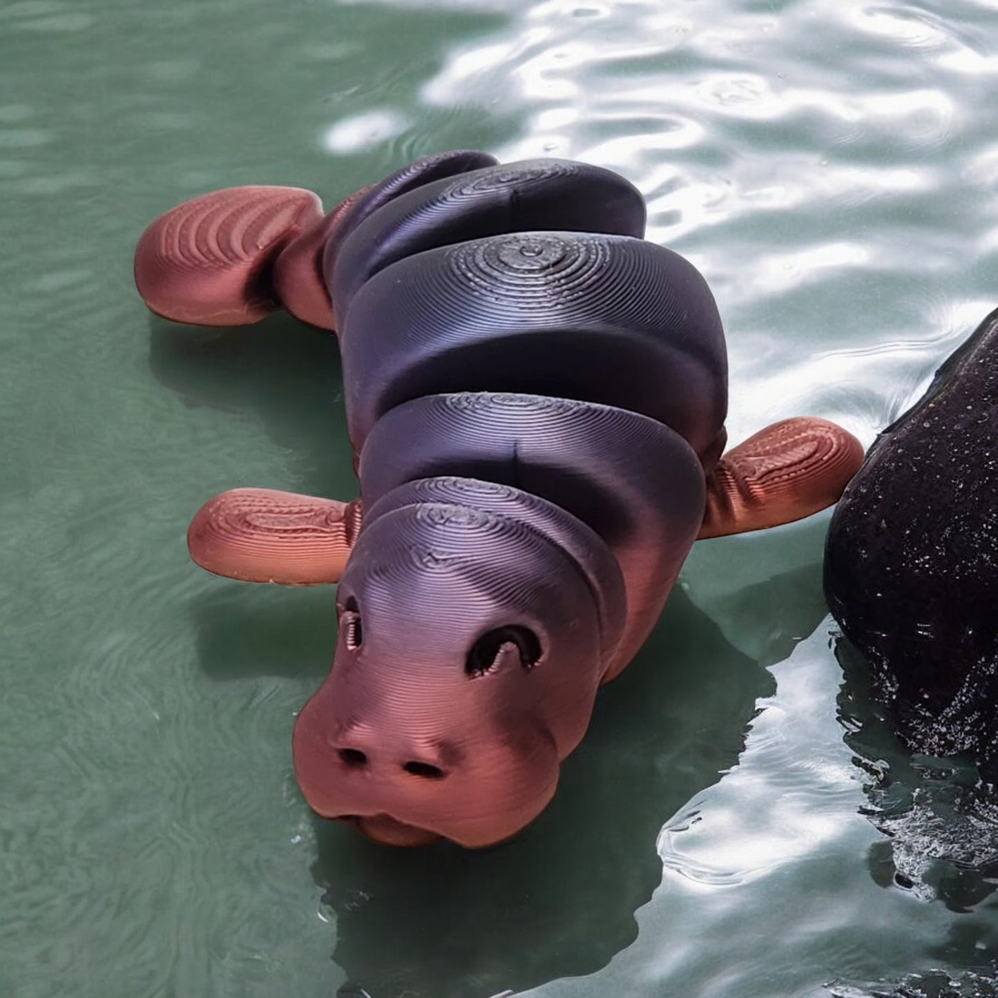 Manatee