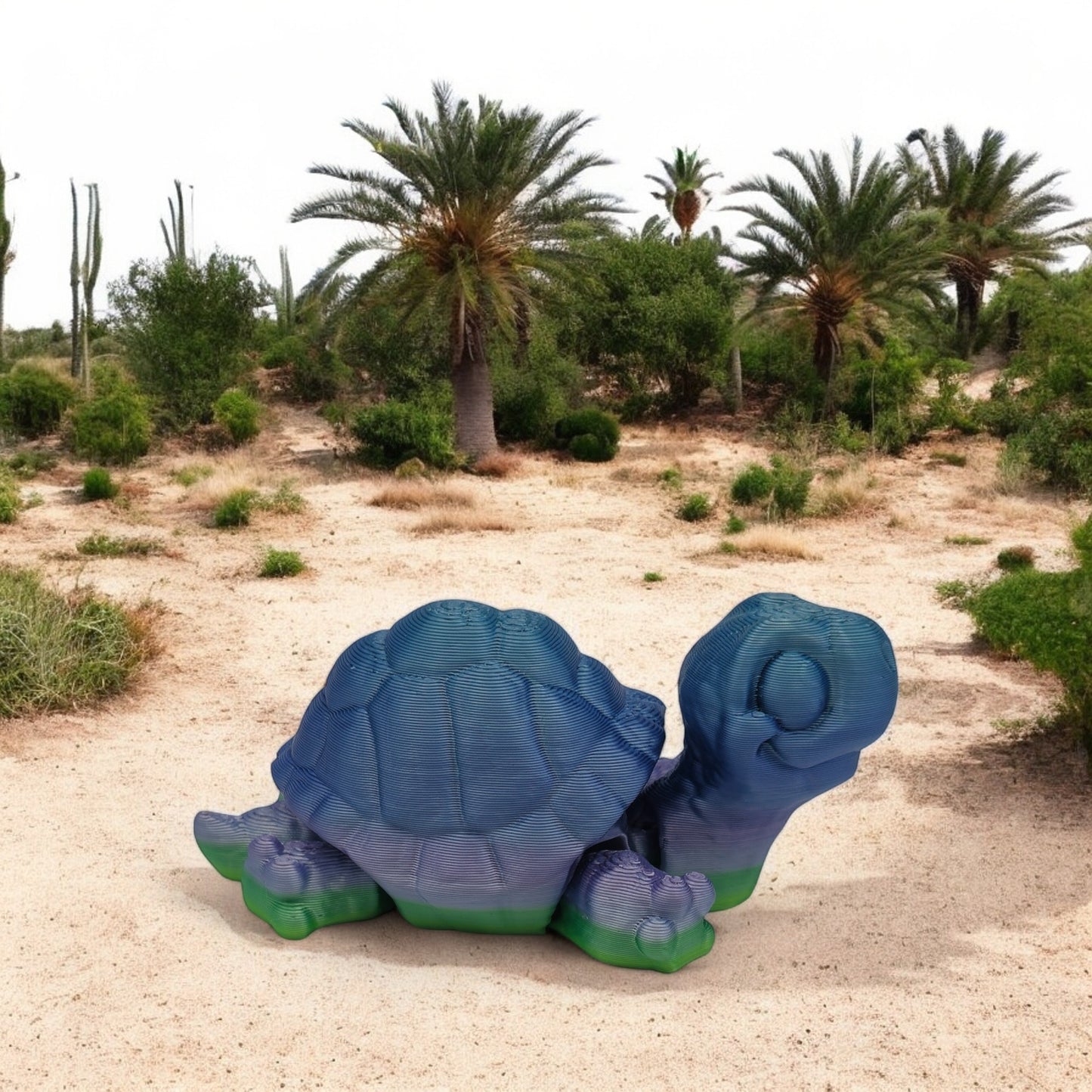 Slowmo Tortoise