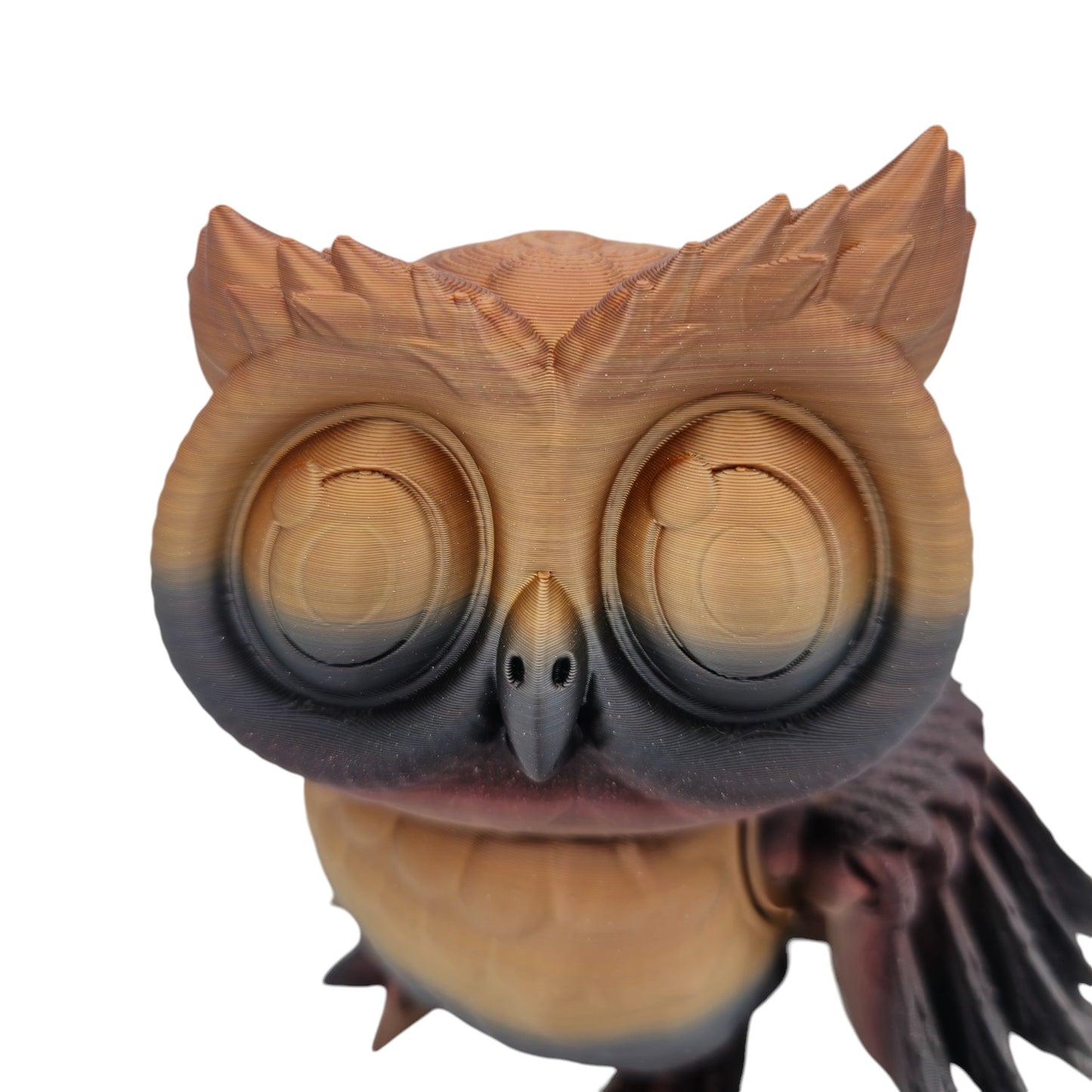 Wisebeak Owl