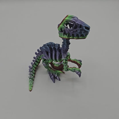 Skeletal Raptor